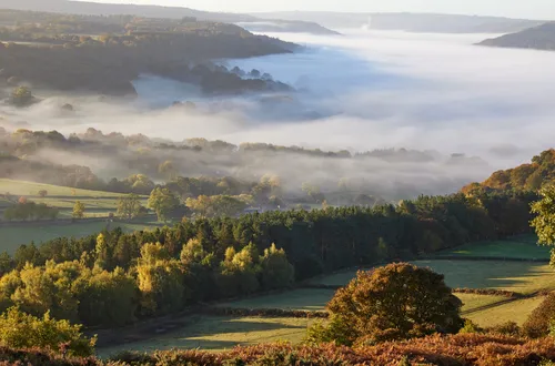 This landscape photograph captures a cloud-inversion over Curbar Edge in Derbyshire, United Kingdom, taken during an autumn morning at sunrise. The image prominently features the natural phenomenon of Curbar cloud inversion, with thick mist rolling across the rural Peak District valley, partially obscuring the trees and fields below. The golden light of the sunrise enhances the autumn colours throughout the landscape, adding warmth to the fields and woodlands. The setting highlights the striking beauty of nature in the Peak District, with Curbar Edge visible in the background, contributing to the iconic scenery associated with this region.